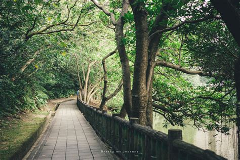 台北磁場好的地方|南港公園